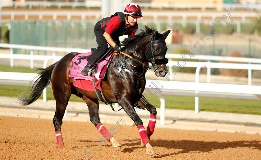 Freedom-Fighter-0001 
 FREEDOM FIGHTER training for The Riyadh Dirt Sprint
King Abdulaziz Racecourse, Kingdom of Saudi Arabia, 22 Feb 2023 - Pic Steven Cargill / Racingfotos.com