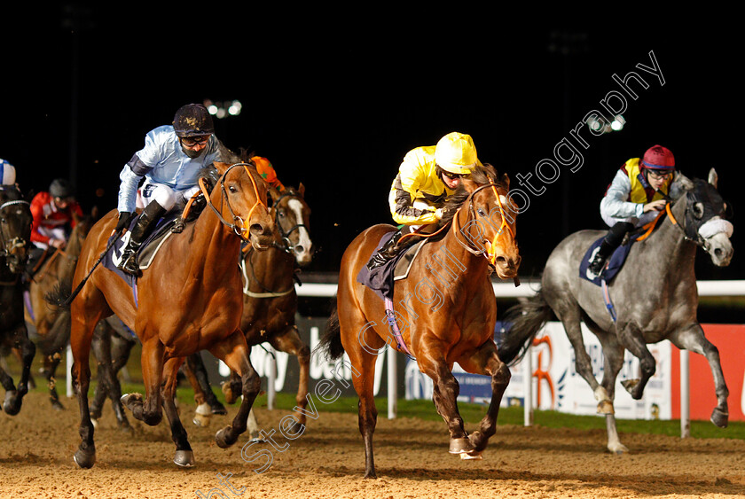 Muay-Thai-0004 
 MUAY THAI (centre, Rossa Ryan) beats HOST (left) in The Ladbrokes Watch Racing Online For Free Handicap
Wolverhampton 11 Jan 2021 - Pic Steven Cargill / Racingfotos.com