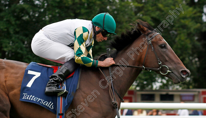 Porta-Fortuna-0002 
 PORTA FORTUNA (Ryan Moore) wins The Tattersalls Falmouth Stakes
Newmarket 12 Jul 2024 - pic Steven Cargill / Racingfotos.com