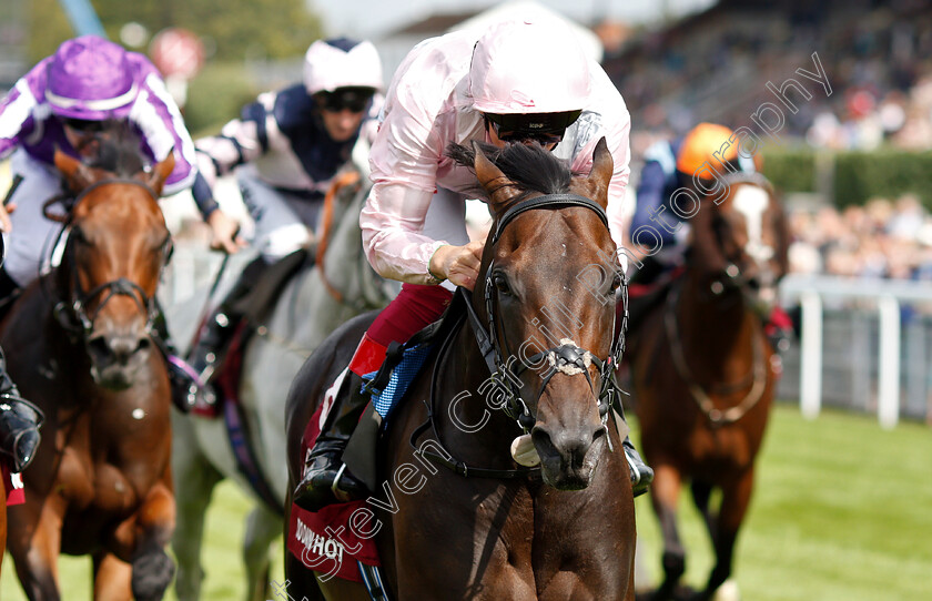 Too-Darn-Hot-0010 
 TOO DARN HOT (Frankie Dettori) wins The Qatar Sussex Stakes
Goodwood 31 Jul 2019 - Pic Steven Cargill / Racingfotos.com