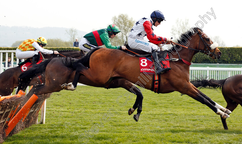 Cotswold-Prince-0003 
 COTSWOLD PRINCE (Harry Stock)
Cheltenham 17 Apr 2019 - Pic Steven Cargill / Racingfotos.com