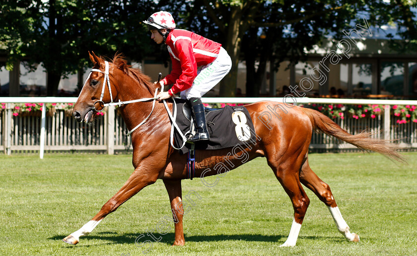 Sea-Battle-0002 
 SEA BATTLE (Luke Morris)
Newmarket 27 Jun 2019 - Pic Steven Cargill / Racingfotos.com