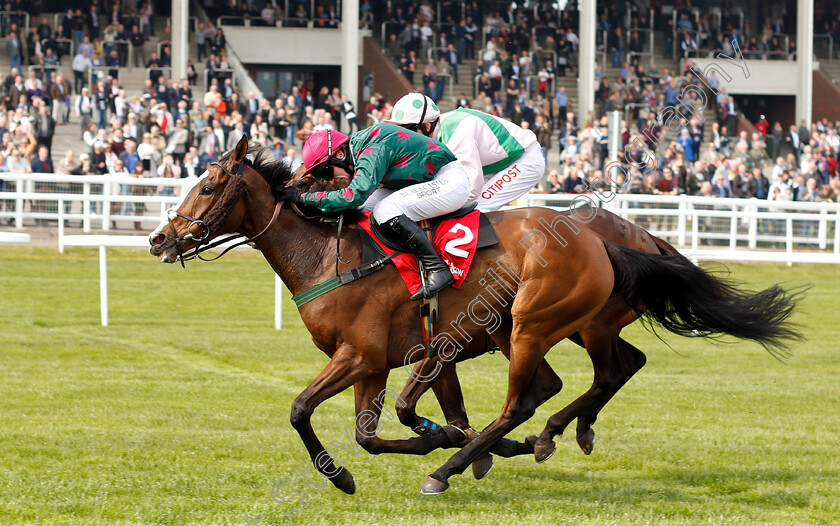 Mister-Whitaker-0005 
 MISTER WHITAKER (Jonathan Burke) wins The Cure Parkinson's And Hambo Foundation Silver Trophy Chase
Cheltenham 17 Apr 2019 - Pic Steven Cargill / Racingfotos.com