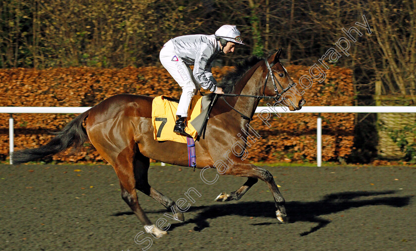 Sod s-Law-0001 
 SOD'S LAW (P J McDonald) Kempton 13 Dec 2017 - Pic Steven Cargill / Racingfotos.com