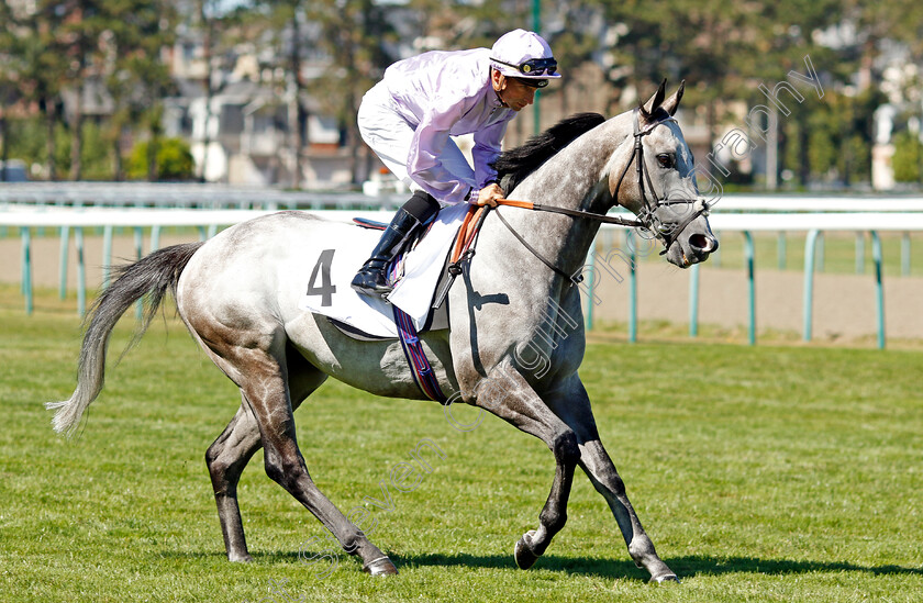 Garrus-0002 
 GARRUS (I Mendizabal)
Deauville 7 Aug 2022 - Pic Steven Cargill / Racingfotos.com