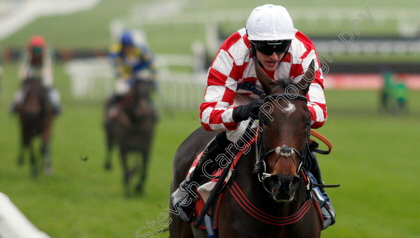 Hang-In-There-0003 
 HANG IN THERE (Adam Wedge) wins The Sky Bet Supreme Trial Novices Hurdle
Cheltenham 17 Nov 2019 - Pic Steven Cargill / Racingfotos.com