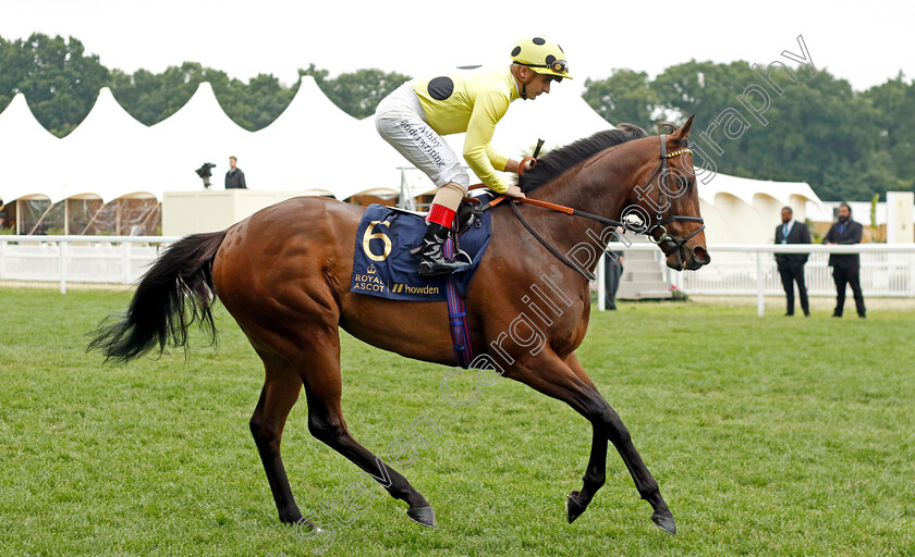 Emaraaty-Ana-0002 
 EMARAATY ANA (Andrea Atzeni)
Royal Ascot 18 Jun 2022 - Pic Steven Cargill / Racingfotos.com