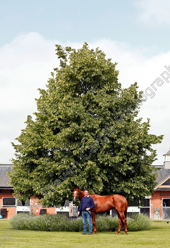 Masar-0006 
 MASAR and Charlie Appleby
Moulton Paddocks, Newmarket 28 Jun 2019 - Pic Steven Cargill / Racingfotos.com