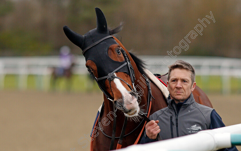 Toast-Of-New-York-0003 
 TOAST OF NEW YORK with Jimmy McCarthy before winning The Betway Conditions Stakes Lingfield 6 Dec 2017 - Pic Steven Cargill / Racingfotos.com