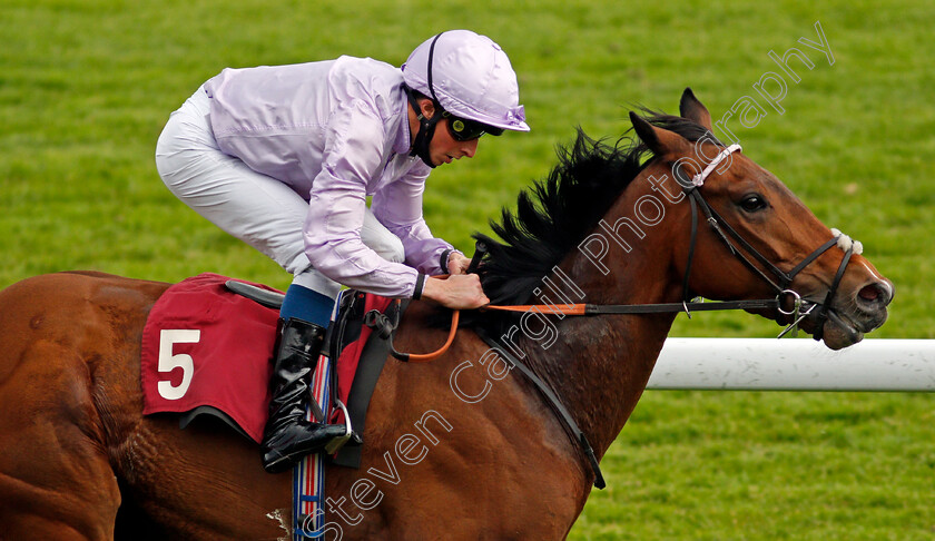 Il-Bandito-0006 
 IL BANDITO (William Buick) wins The Betway Casino Handicap
Haydock 29 May 2021 - Pic Steven Cargill / Racingfotos.com