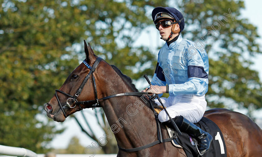 Cachet-0001 
 CACHET (James Doyle)
Newmarket 24 Sep 2021 - Pic Steven Cargill / Racingfotos.com