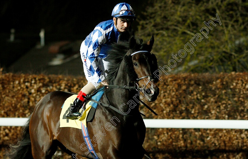 Daafr-0002 
 DAAFR (Andrea Atzeni)
Kempton 6 Mar 2019 - Pic Steven Cargill / Racingfotos.com