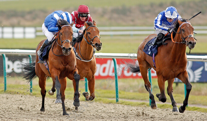 Badri-0002 
 BADRI (left, Kieran Shoemark) beats PHUKET POWER (right) in The Ladbrokes Handicap
Lingfield 14 Feb 2020 - Pic Steven Cargill / Racingfotos.com