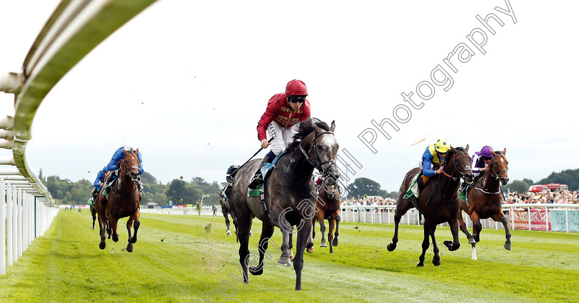 Roaring-Lion-0005 
 ROARING LION (Oisin Murphy) beats POET'S WORD (2nd right) in The Juddmonte International Stakes
York 22 Aug 2018 - Pic Steven Cargill / Racingfotos.com