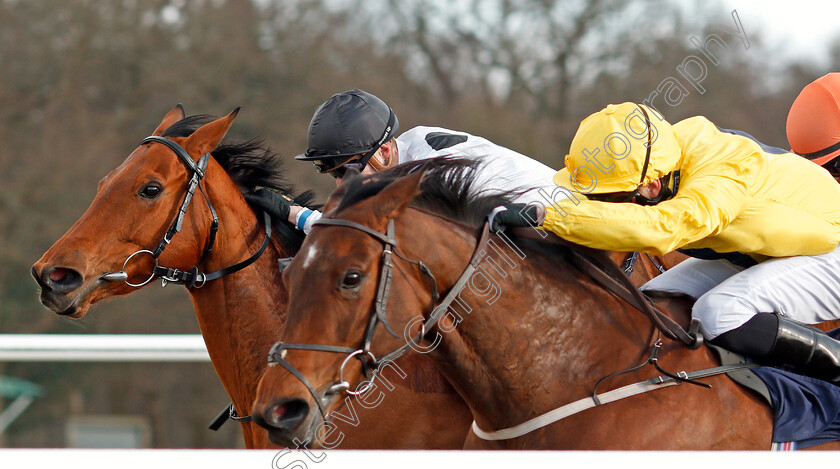 Zest-0005 
 ZEST (left, Daniel Muscutt) beats SUMMER ICON (right) in The British Stallion Studs 32Red EBF Fillies Conditions Stakes Lingfield 27 Feb 2018 - Pic Steven Cargill / Racingfotos.com