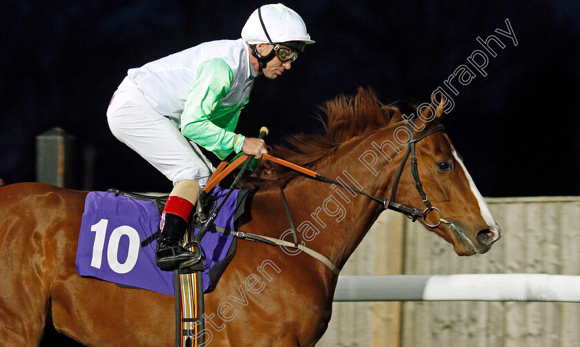 Theydon-Spirit-0001 
 THEYDON SPIRIT (Jimmy Quinn) Kempton 21 Mar 2018 - Pic Steven Cargill / Racingfotos.com