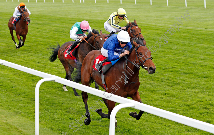 One-Ruler-0004 
 ONE RULER (William Buick) wins The Betway Maiden Stakes
Sandown 23 Aug 2020 - Pic Steven Cargill / Racingfotos.com