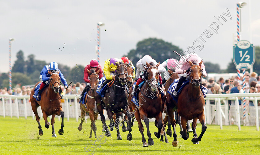 Warm-Heart-0008 
 WARM HEART (right, James Doyle) beats FREE WIND (centre) in The Pertemps Network Yorkshire Oaks
York 24 Aug 2023 - Pic Steven Cargill / Racingfotos.com