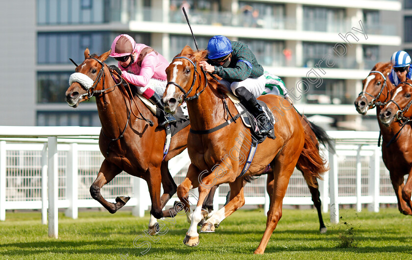 Mirage-Mac-0003 
 MIRAGE MAC (James Doyle) beats SCOOP (left) in The Racing TV Novice Median Auction Stakes
Newbury 18 Sep 2020 - Pic Steven Cargill / Racingfotos.com