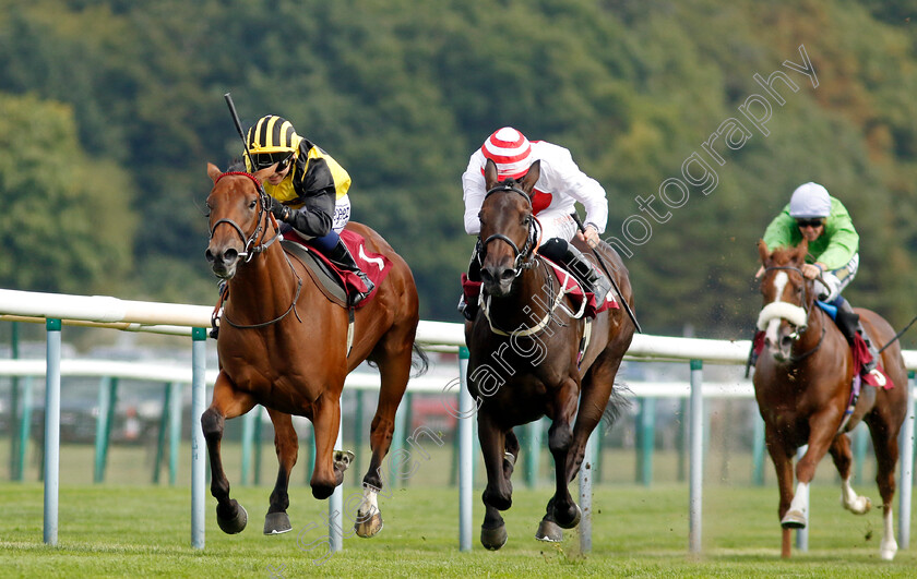 Zouky-0005 
 ZOUKY (Marco Ghiani) beats KITAI (centre) in The British EBF Fillies Novice Stakes
Haydock 2 Sep 2022 - Pic Steven Cargill / Racingfotos.com