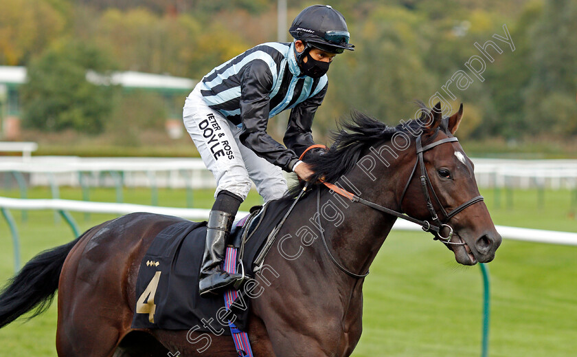 Manigordo-0001 
 MANIGORDO (Sean Levey)
Nottingham 14 Oct 2020 - Pic Steven Cargill / Racingfotos.com