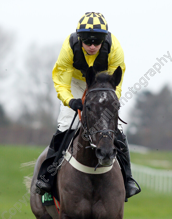 Elixir-De-Nutz-0002 
 ELIXIR DE NUTZ (Tom O'Brien) winner of The Unibet Tolworth Hurdle
Sandown 5 Jan 2019 - Pic Steven Cargill / Racingfotos.com