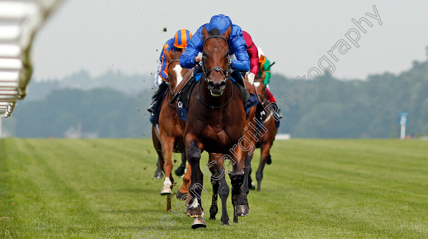 Adayar-0005 
 ADAYAR (William Buick) wins The King George VI and Queen Elizabeth Qipco Stakes
Ascot 24 Jul 2021 - Pic Steven Cargill / Racingfotos.com