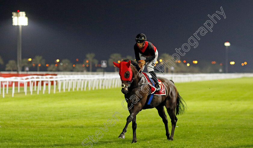 Sovereign-State-0001 
 SOVEREIGN STATE (Soufiane Saadi)
Kingdom of Bahrain 15 Nov 2024 - Pic Steven Cargill / Racingfotos.com