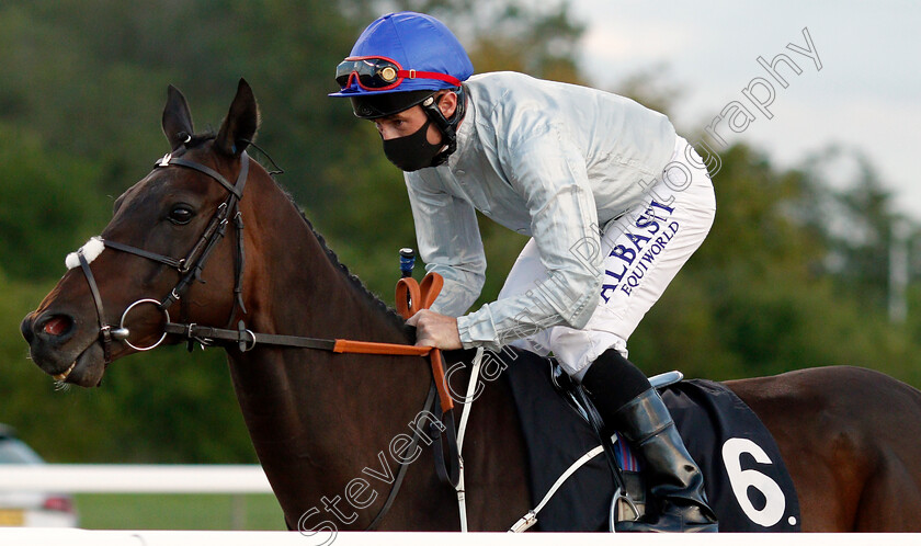 Cardsharp-0001 
 CARDSHARP (Dane O'Neill)
Chelmsford 22 Aug 2020 - Pic Steven Cargill / Racingfotos.com