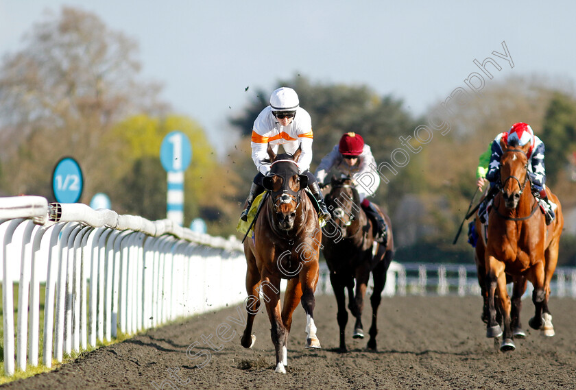 Imperial-Sands-0002 
 IMPERIAL SANDS (Hollie Doyle) wins The racingtv.com Handicap
Kempton 10 Apr 2023 - Pic Steven Cargill / Racingfotos.com