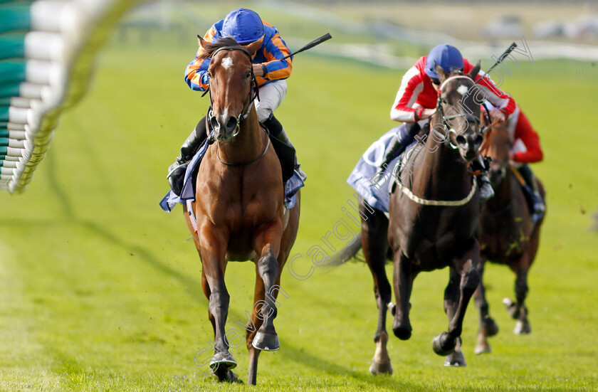 Bubbling-0004 
 BUBBLING (Ryan Moore) wins The Al Basti Equiworld Dubai Rockfel Stakes
Newmarket 27 Sep 2024 - Pic Steven Cargill / Racingfotos.com