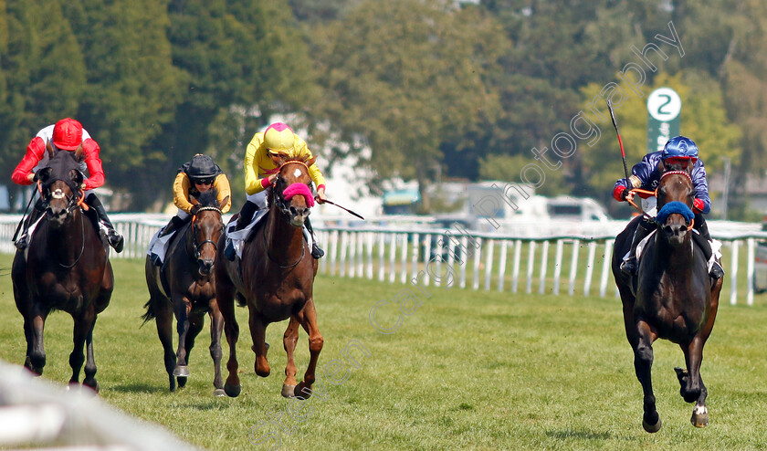 Penalty-0007 
 PENALTY (Thore Hammer-Hansen) wins The 91. Brunner-Oettingen Rennen
Baden Baden 1 Sep 2024 - Pic Steven Cargill / Racingfotos.com