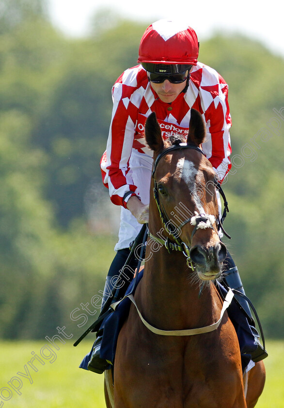 King-Of-War 
 KING OF WAR (Kieran Shoemark)
Chepstow 27 May 2022 - Pic Steven Cargill / Racingfotos.com