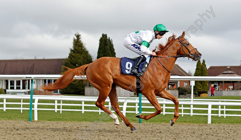 The-Writer 
 THE WRITER (Luke Morris)
Lingfield 9 Mar 2022 - Pic Steven Cargill / Racingfotos.com