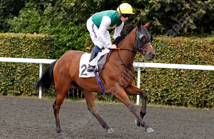 Cruck-Railie-0001 
 CRUCK RAILIE (Harry Bentley)
Kempton 15 Aug 2018 - Pic Steven Cargill / Racingfotos.com