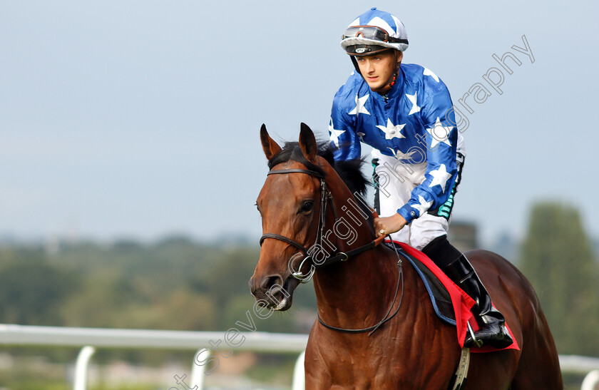 Rowland-Ward-0002 
 ROWLAND WARD (Harry Bentley)
Sandown 9 Aug 2018 - Pic Steven Cargill / Racingfotos.com