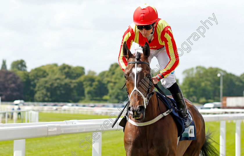 Crazy-Luck-0002 
 CRAZY LUCK (P J McDonald)
York 10 Jun 2022 - Pic Steven Cargill / Racingfotos.com