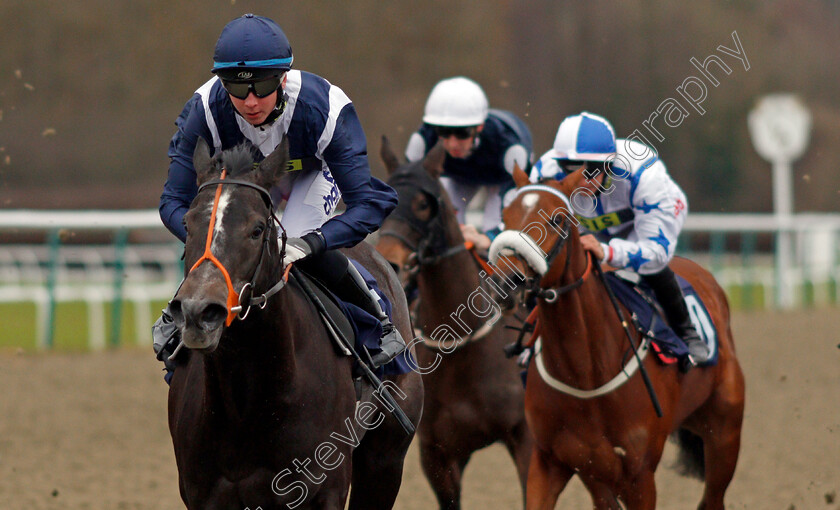 Fire-Orchid-0003 
 FIRE ORCHID (Rossa Ryan) wins The 32Redpoker.com Nursery Lingfield 6 Dec 2017 - Pic Steven Cargill / Racingfotos.com