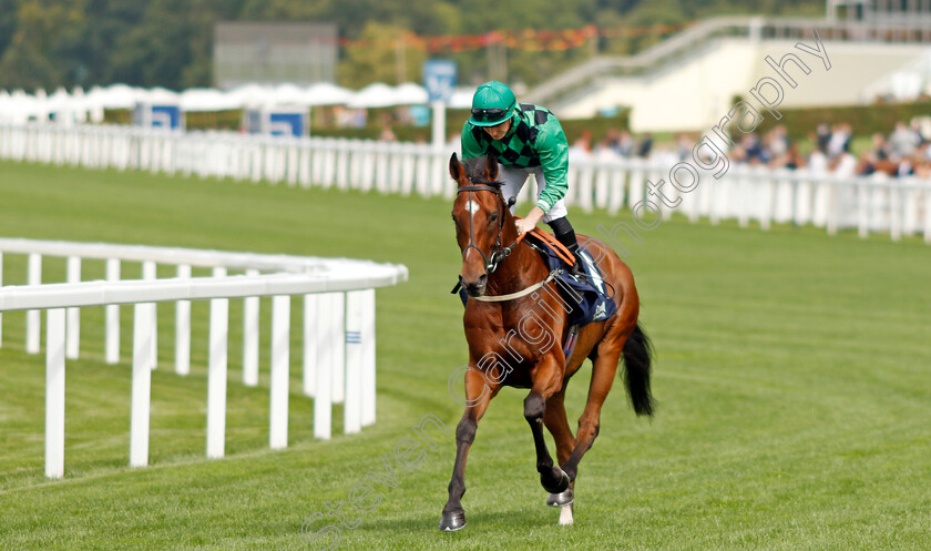 Miller-Spirit-0001 
 MILLER SPIRIT (Rhys Clutterbuck)
Ascot 26 Jul 2024 - Pic Steven Cargill / Racingfotos.com