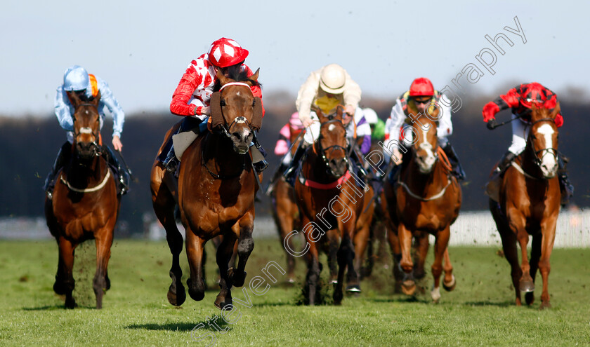 Gorak-0004 
 GORAK (Callum Shepherd) wins The Music Live @ Doncaster Racecourse Handicap
Doncaster 2 Apr 2023 - Pic Steven Cargill / Racingfotos.com