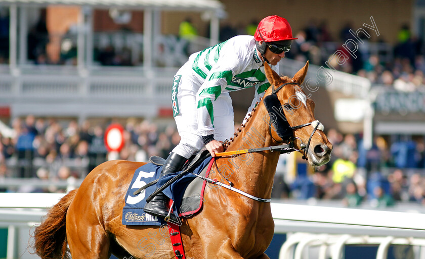 Zanahiyr-0001 
 ZANAHIYR (Davy Russell)
Aintree 13 Apr 2023 - Pic Steven Cargill / Racingfotos.com