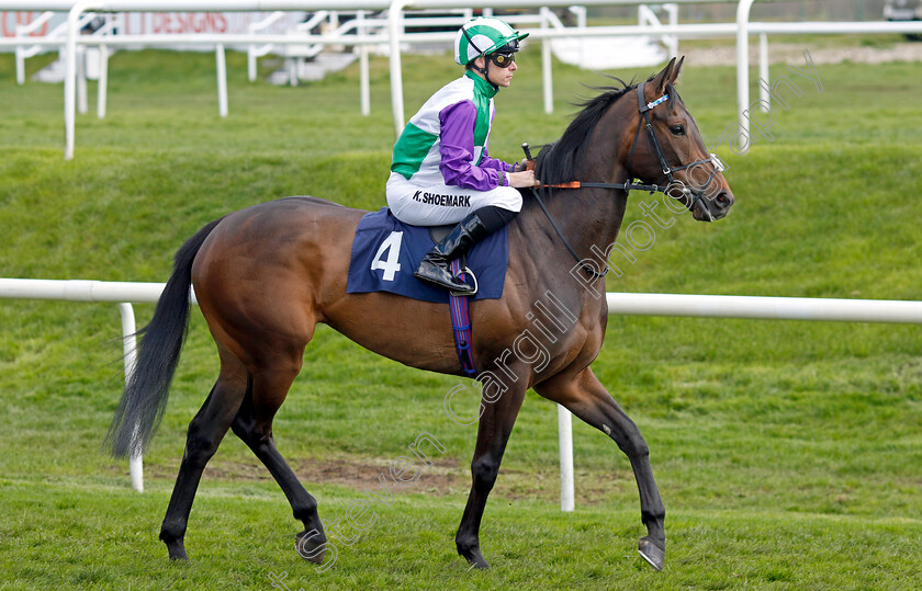 Cloudbreaker-0002 
 CLOUDBREAKER (Kieran Shoemark)
Doncaster 2 Apr 2023 - Pic Steven Cargill / Racingfotos.com