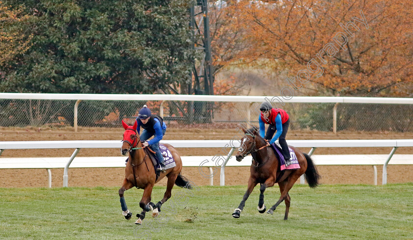 The-Platinum-Queen-and-Midnight-Mile-0001 
 THE PLATINUM QUEEN (left) training with MIDNIGHT MILE (right) at the Breeders' Cup 
Keeneland USA 2 Nov 2022 - Pic Steven Cargill / Racingfotos.com