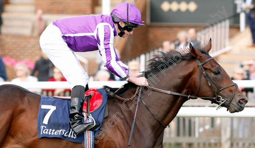 Wichita-0001 
 WICHITA (Ryan Moore) wins The Tattersalls Stakes
Newmarket 26 Sep 2019 - Pic Steven Cargill / Racingfotos.com