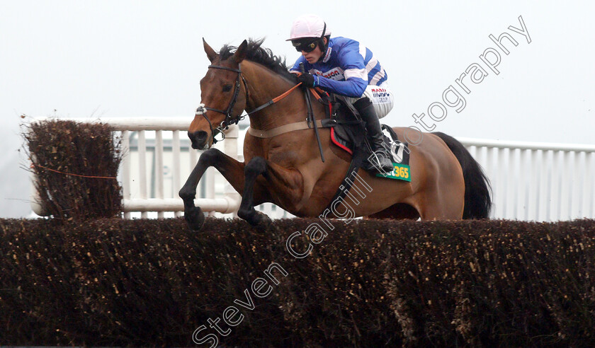 Cyrname-0001 
 CYRNAME (Harry Cobden) wins The Bet365 Handicap Chase
Ascot 19 Jan 2019 - Pic Steven Cargill / Racingfotos.com