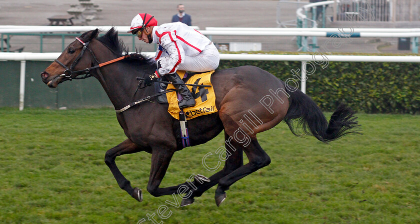 On-To-Victory-0004 
 ON TO VICTORY (James Doyle) wins The Betfair November Handicap
Doncaster 7 Nov 2020 - Pic Steven Cargill / Racingfotos.com