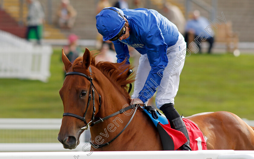 Beautiful-Love-0001 
 BEAUTIFUL LOVE (James Doyle)
Sandown 2 Sep 2023 - Pic Steven Cargill / Racingfotos.com