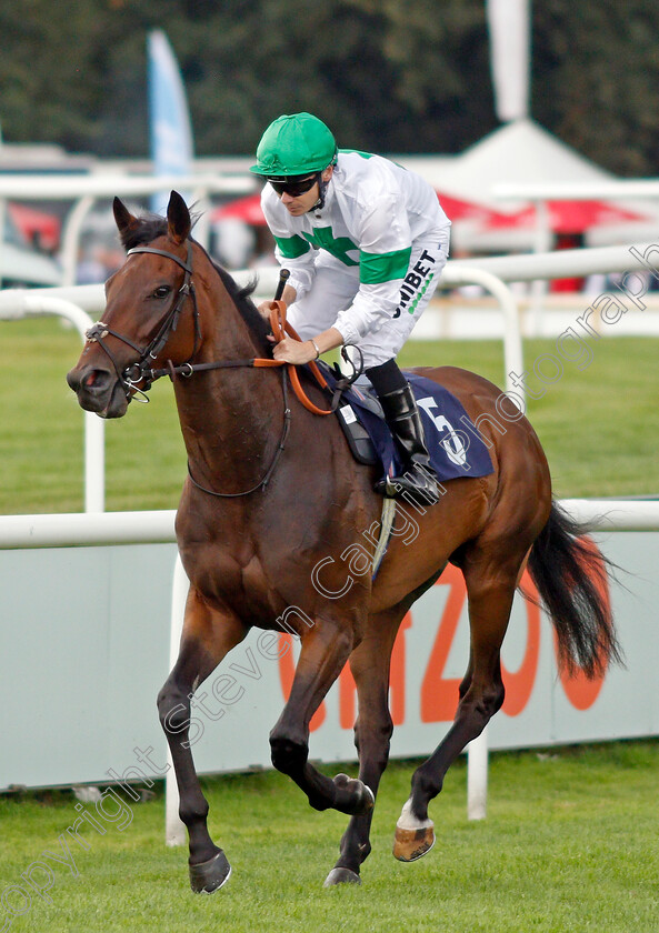 Rodrigo-Diaz-0001 
 RODRIGO DIAZ (Jamie Spencer)
Doncaster 10 Sep 2021 - Pic Steven Cargill / Racingfotos.com