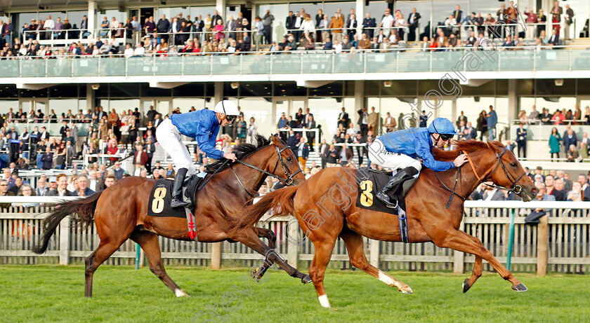 Ghaly-0003 
 GHALY (Daniel Tudhope) beats KING OF CONQUEST (left) in The Racing Welfare Handicap
Newmarket 29 Oct 2022 - Pic Steven Cargill / Racingfotos.com