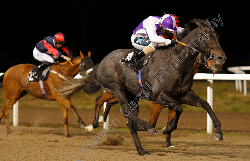 Indigo-Times-0004 
 INDIGO TIMES (Stevie Donohoe) wins The tote Handicap
Chelmsford 8 Oct 2020 - Pic Steven Cargill / Racingfotos.com